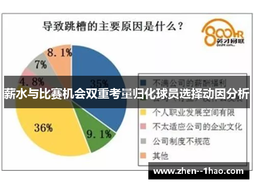 薪水与比赛机会双重考量归化球员选择动因分析