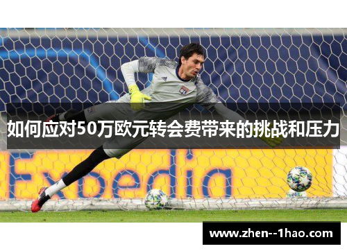 如何应对50万欧元转会费带来的挑战和压力