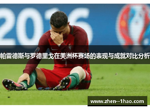 帕雷德斯与罗德里戈在美洲杯赛场的表现与成就对比分析