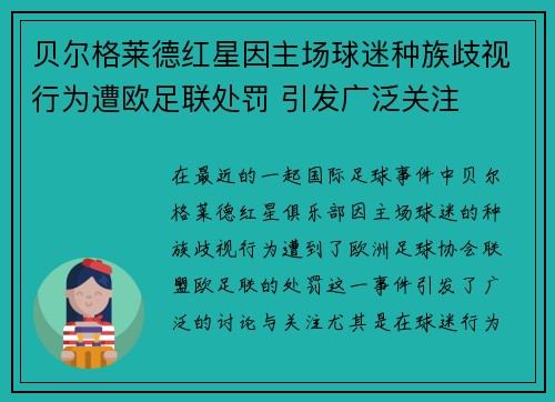 贝尔格莱德红星因主场球迷种族歧视行为遭欧足联处罚 引发广泛关注